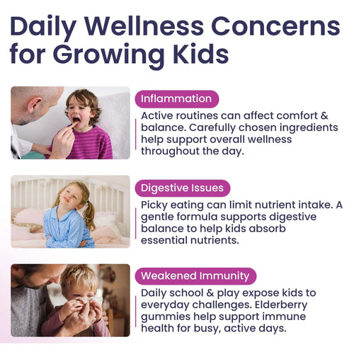 Elderberry Gummies for Kids 3 in 1 Immune Support with Zinc Vitamin C 60 Count Kids Elderberry Gummies for Daily Immunity Vegan Formula for Strong Immune Health